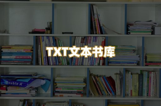 TXT文本书库